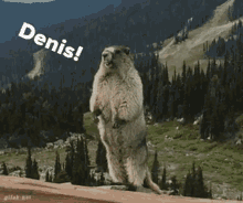 Scream Denis GIF - Scream Denis GIFs