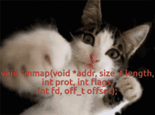 Mmap Cat GIF - Mmap Cat Punch GIFs