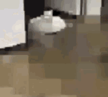 Demonic Cursed GIF - Demonic Cursed Cat Moving Across Floor GIFs
