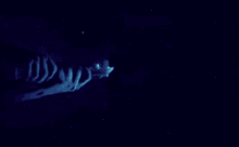 a person is holding a blue light saber in their hand in space .