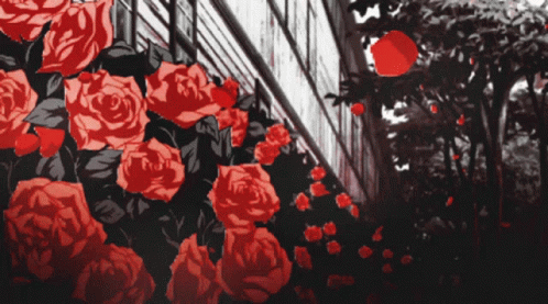 gif.gif