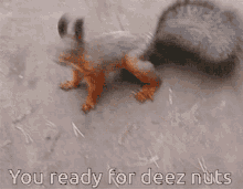 you ready deez nuts
