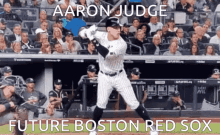 Boston Aaron Judge GIF - Boston Aaron Judge Judge GIFs