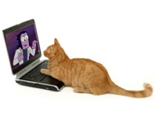 a cat looking at a cartoon on a laptop screen