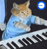 Keycat Keyboard GIF - Keycat Keyboard Cat GIFs
