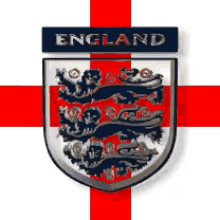 England 3lions GIF