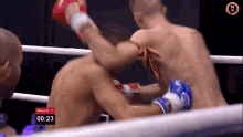Fight Punch GIF - Fight Punch Kickboxing GIFs