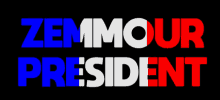 Zemmour President GIF - Zemmour President Président GIFs