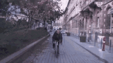 Tamasmacska Bicikli GIF - Tamasmacska Bicikli Kerékpár GIFs