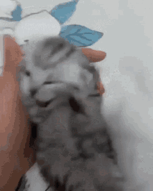 GIF