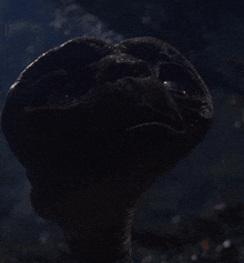 a close up of a creature 's face with a dark background