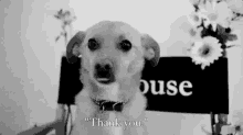 Thank You Dog Puppy GIF - Thank You Dog Puppy Spring GIFs