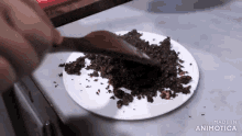 a person is using a wooden spatula to stir food on a white plate .