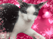 a black and white cat laying on a pink background with hearts and stars