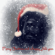 Merry Christmas And Happy New Year Happy Holidays GIF