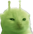 a green cat with a crown on its head .