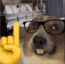 a dog wearing glasses and a yellow hand giving a rock on sign