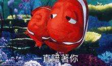 Nemo Finding GIF - Nemo Finding GIFs