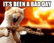 Badday GIF - Bad Day Cat Its Been A Bad Day GIFs
