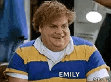a fat man is wearing a blue and yellow striped shirt with emily written on it .