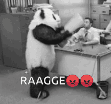 Panda Rage Monster GIF - Panda Rage Monster Smash GIFs