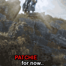 Patchie GIF - Patchie GIFs