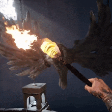 a person is holding a torch in front of an owl