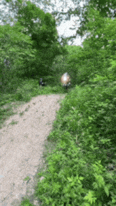 a person riding a motorcycle on a dirt road in the woods