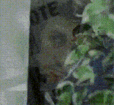 a close up of a person 's face in a blurry photo