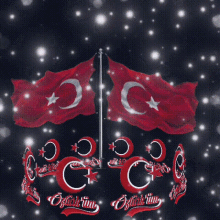 a turkey flag is surrounded by a circle of letters including the letters c and g
