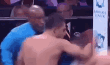 Boxing Steve Willis GIF - Boxing Steve Willis Referee GIFs