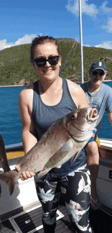 Whitehaven Hill Inlet Tours Full Day Fishing Charter GIF - Whitehaven Hill Inlet Tours Full Day Fishing Charter GIFs