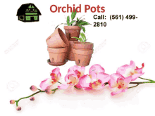 Orchid Pots Clear Orchid Pots GIF - Orchid Pots Orchid Pot Clear Orchid Pots GIFs