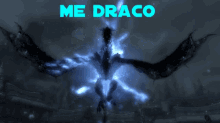 draco dragon im a dragon