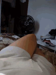 Relaxing Shorts GIF - Relaxing Shorts Lazy GIFs