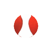 a red ball with a hole in the middle is next to a smaller red ball