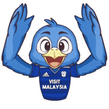 cardiff city blue bird visit malaysia bird