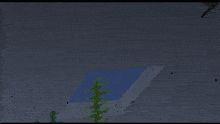 a screenshot of a minecraft game shows a few trees and a few blocks