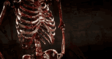 Skeleton Skeleton Meme GIF - Skeleton Skeleton Meme Skeleton Cigar GIFs