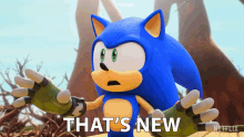 Thats New Sonic The Hedgehog GIF