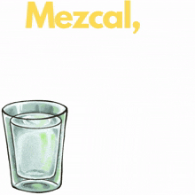 tequila mezcal