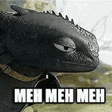 Toothless Httyd GIF - Toothless Httyd Meh GIFs