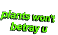 Plants Wont Betray U Plants Sticker - Plants Wont Betray U Plants 3d Text Stickers