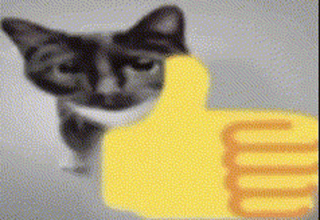 cat-thumbs-up-cat.png