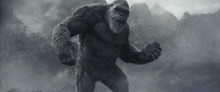 a black and white photo of a giant gorilla standing in the fog .