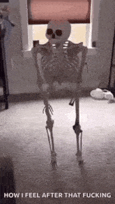 a skeleton is standing on its hind legs in a room .