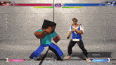 a video game is being played with a minecraft character and a fighter