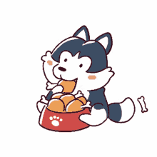 husky eat