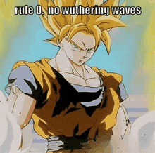 a picture of a cartoon character with the words rule 0 no wuthering waves written on it .