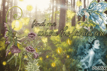 a picture of fairies and flowers with the words find me where the fairies are